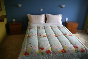 Guesthouse Mitsiopoulou Limni-Plastira Greece