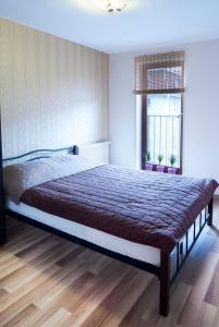 Cracow Stay Apartments