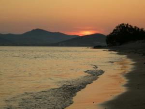 To The Garden Paros Greece
