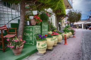 House Stella Tasos Halkidiki Greece