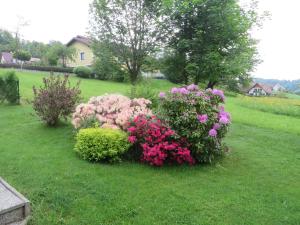 Apartment Deller Renate