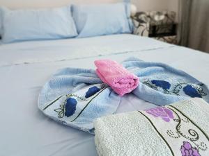 Apartment Cace