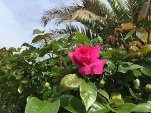 Villaggio Camping Europa