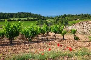 Hotels Contact Hotel Le Minervois - Hotel & Restaurant Au nord de Carcassonne : photos des chambres
