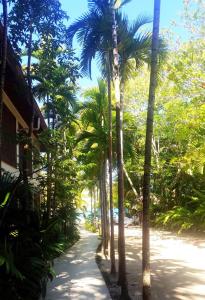 Norman Manley Boulevard, Negril, Jamaica.