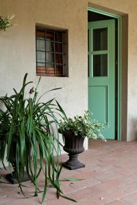 Il Dosso Holidays Apartment