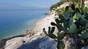 Krouzeri Beach Apartments Corfu Greece