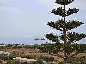 Stelios Zalonis Apartments Tinos Greece