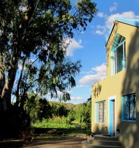 Bluegum Cottage B&B and Self Catering