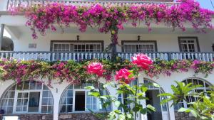 Apartments Vista Oceano