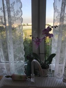 Apartament Karmelicka 19 Muzeum Polin