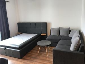 Apartament Jagielońska 42