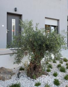 Croatica Suites Brodarica 