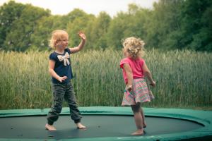 Landrijk De Reesprong boerderij