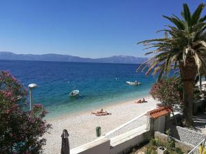 3 star apartman Apartments by the sea Podaca, Makarska - 13974 Podaca Hrvatska