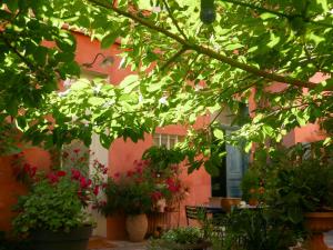 Maisons d'hotes Jardin Vieux Port Panier : photos des chambres