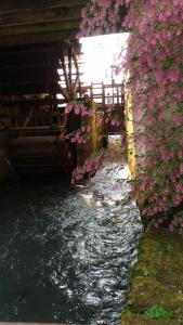 Sejours a la campagne Moulin de Janlard : photos des chambres