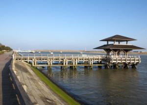 Studio De Zunneblomme