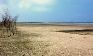 Studio De Zunneblomme