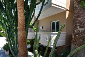 Akatos Hotel Chania Greece
