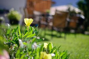 Antonius Natur Apartment - kinderfreie Unterkunft