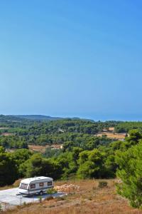 Pine tree Apartment & sunset by "elite"