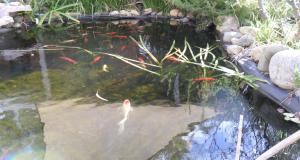 Settlement Motor Inn