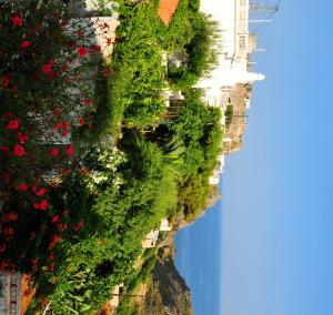 Margarita Hotel Kythira Greece