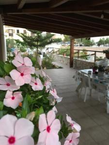 La Casetta di Dany & Alby