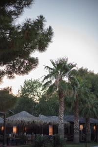 Hotel Hellas Argolida Greece
