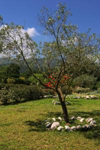 Villa Levanda Corfu Greece