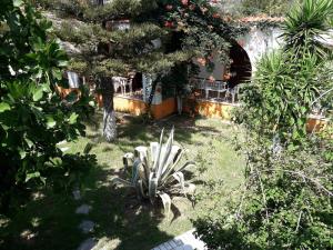 Studios Dimitris Skiathos Greece