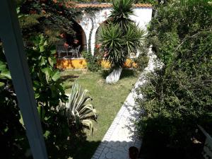 Studios Dimitris Skiathos Greece