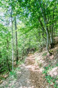 Campings Camping Mon Repos : photos des chambres