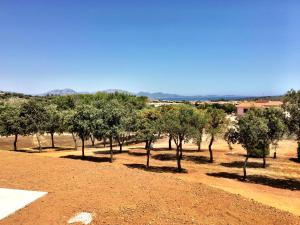 Molti Mari B&B Resort img28