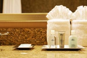 Executive King Room - Non-Smoking room in Wyndham Chicago O'Hare