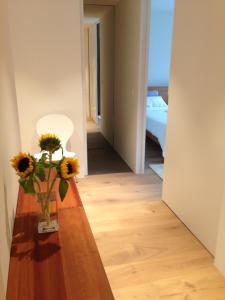 Carouge Loft Apartment