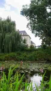 Maisons d'hotes Moulin d'Amour : photos des chambres