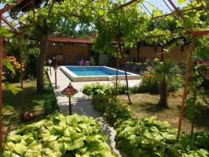 Guest House Yavorov - Atiya