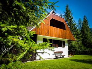 Počitniška hiša Radovna 