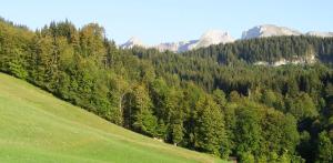 chalets-aravis : photos des chambres