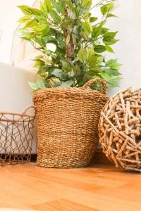 The Calm Stay Carretería