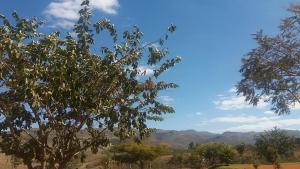 Chales Recanto das Seriemas