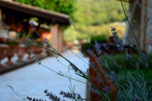 SarAnd Relais-Adults Only