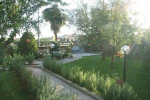 Bed&Breakfast degli ulivi