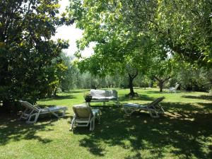 Trecentolivi B&b