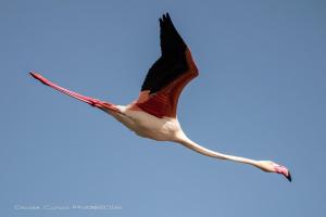 Hotel AeR BJ Vittoria img89