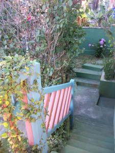 Chales das Andorinhas