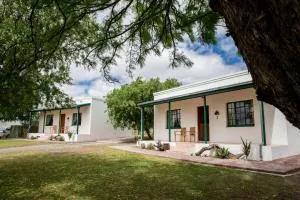 Olive Grove Guest Farm - Rietbron