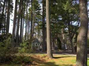 obrázek - Pine Grove Cottages